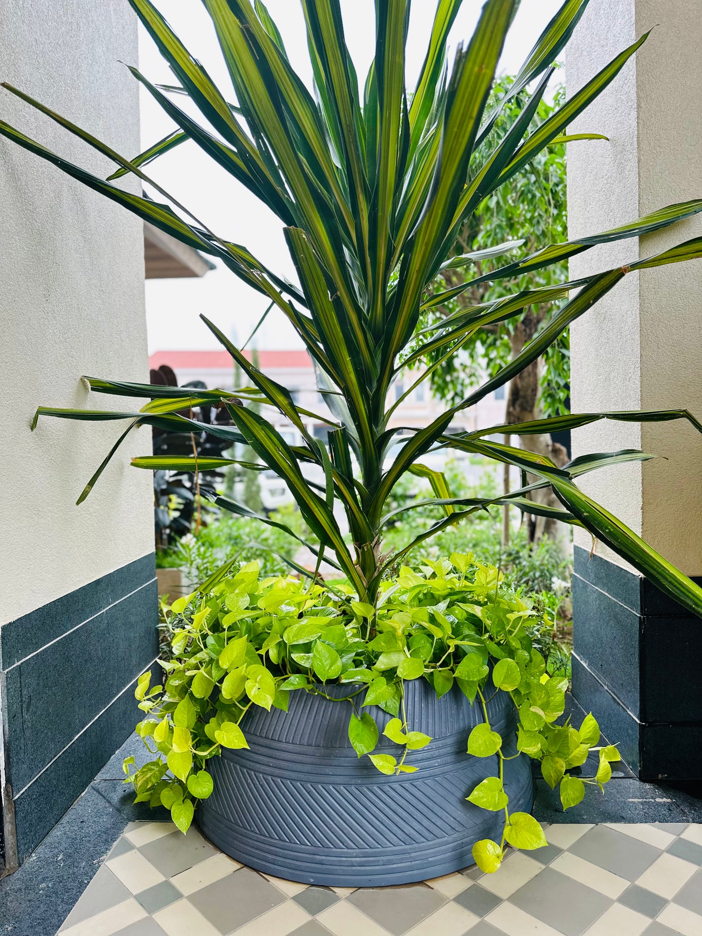 KYTHIRA PLANTER IN PAINTED GREY