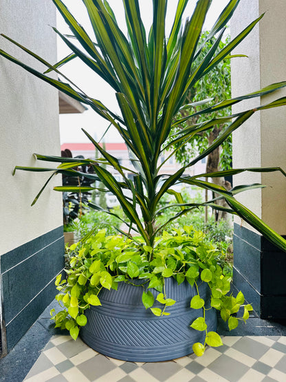 KYTHIRA PLANTER IN PAINTED GREY